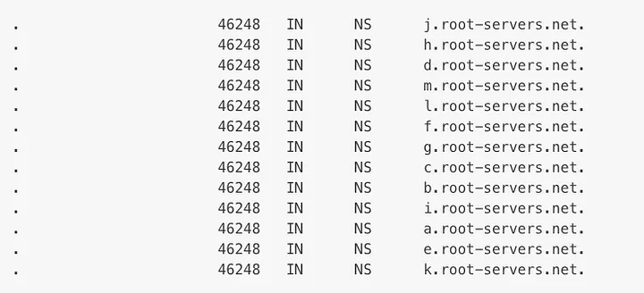 dig command output