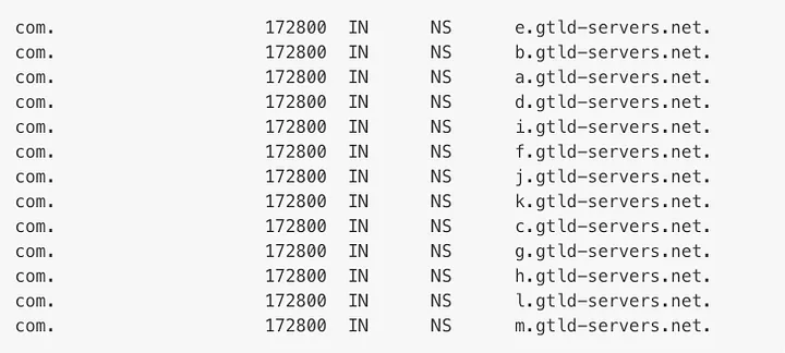 dig command output