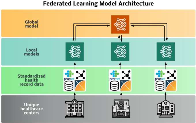 Federated Model Architecture